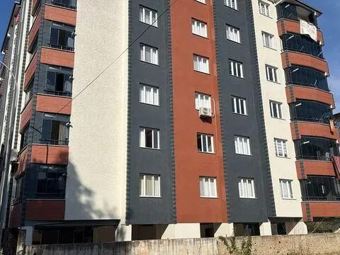 'Cicim ayı' katliamı! 20 günlük eşine acımadı - fotoğraf 4