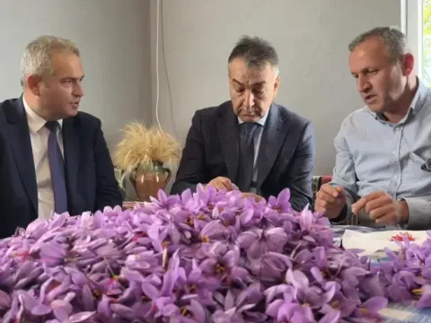 Tek tek toplanıp özenle kurutuluyor. Kilosu 800 bin TL - fotoğraf 1