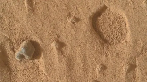 Sahara Çölü'nde bulunan gül rengi göktaşı 4,1 milyar yıllık Mars parçası çıktı