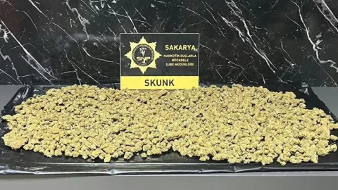 Sakarya’da otoyolda durdurulan araçta 950 gram uyuşturucu ele geçirildi