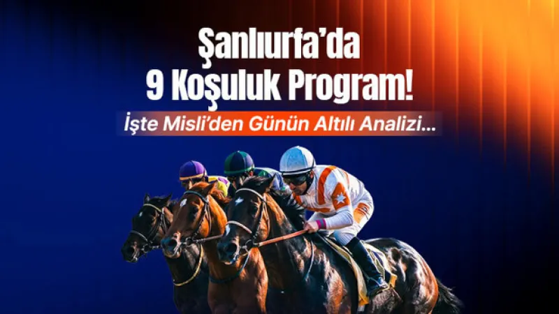 Şanlıurfa’da 9 koşuluk program! İşte Misli’den günün altılı analizi…