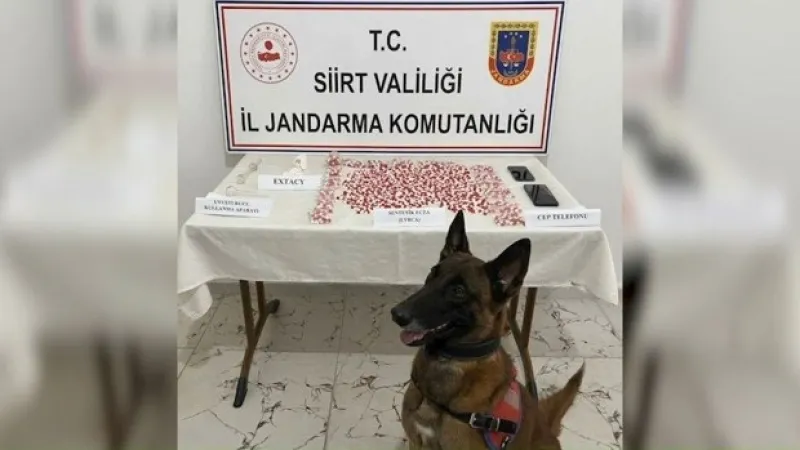Siirt'te 2 bin 650 uyuşturucu hap ele geçirildi