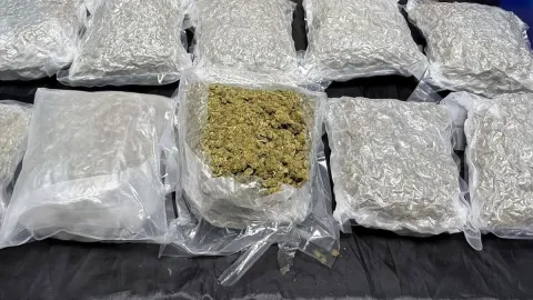 Siirt'te uyuşturucu operasyonu: 5 kilo 600 gram skunk ele geçirildi