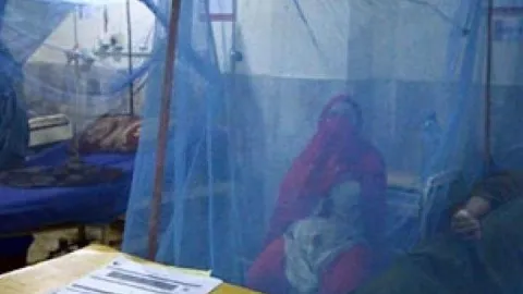 Sivrisinekle bulaşan tehlike! 100 binden fazla vaka görüldü
