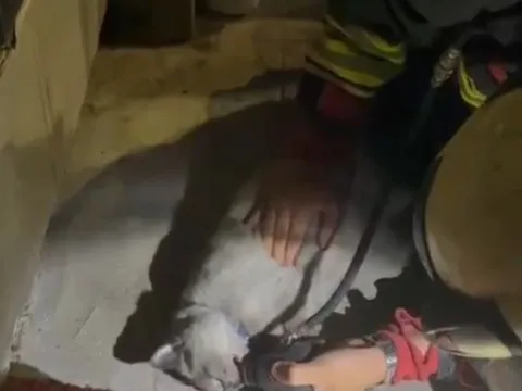 Yürek ısıtan görüntü: Yangından kurtarılan kediye kalp masajı - fotoğraf 1