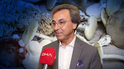 Sonbahar aylarında artış gösteriyor: Doğadan toplayanlar dikkat! 'Görünüşüne bakarak ayırt edemezsiniz'