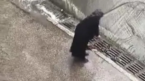 Sosyal medya İstanbul'daki bu görüntüyü konuşuyor