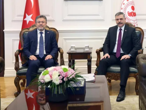 Sokak hayvanlarının toplanmasında hedef sayılara ilişkin son durum ele alındı - fotoğraf 1