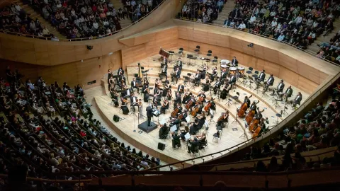 Strauss Philharmonie geliyor. Viyana'nın ruhu Ankara ve İstanbul sahnelerine taşınacak