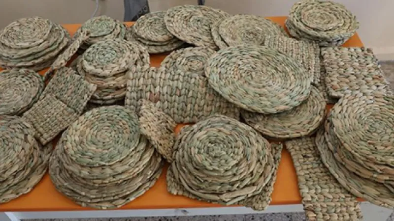 SU SÜMBÜLLERİ EKONOMİYE KAZANDIRILIYOR