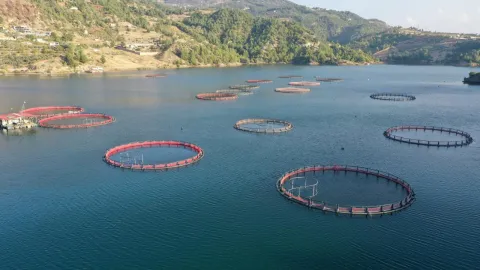 Su ürünleri ihracatı 9 ayda 1,8 milyar dolara ulaştı