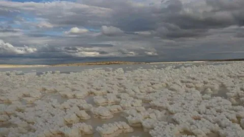 Sular çekilince altından çıktı: 1 ay boyunca adım adım takip ediliyordu