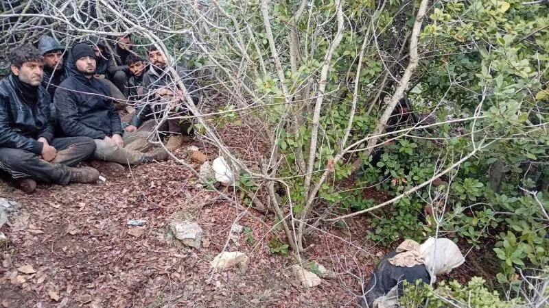 Suriye'den Kaçan 30 Düzensiz Göçmen Yakalandı
