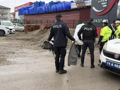 Hemşire adayı Edanur'u hayattan koparan sürücüye 4 yıl 5 ay ceza ve tahliye - fotoğraf 3