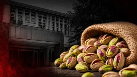 Tarım İşletmeleri’nde fıstık gibi vurgun