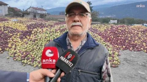 Tarlaya giren üretici ağlayarak çıktı: Tonlarca mahsul çürümeye bırakıldı