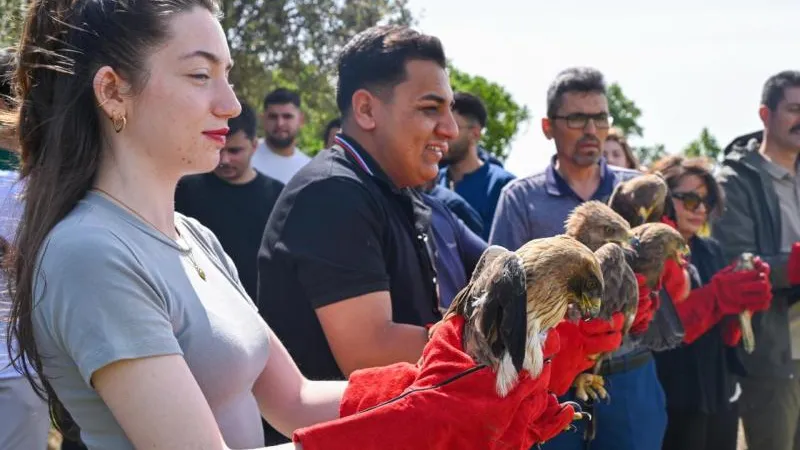 Tedavi Edilen Yabani Kuşlar Doğaya Salındı