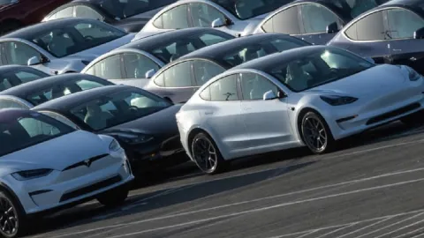 Tesla'nın kârında büyük kayıp