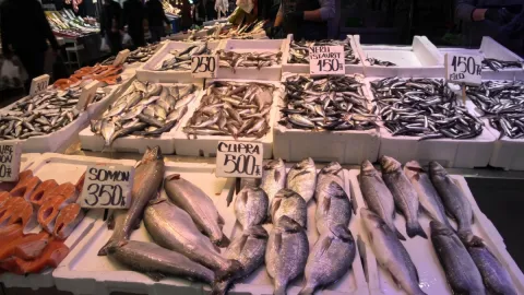 Tezgahları terk eden palamut yerini o balığa bıraktı: Tezgahlardaki fiyatlar değişti