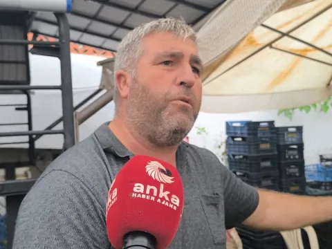 Çalışmak zorundayım çalışmazsam açım - fotoğraf 2