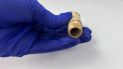 Troya'da bir ilk yaşandı. 160 yıllık kazı tarihinde heyecanlandıran keşif