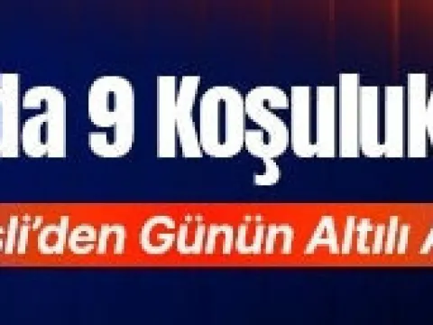 Şanlıurfa’da 9 Koşuluk Program! İşte Misli’den Günün Altılı Analizi… - fotoğraf 3