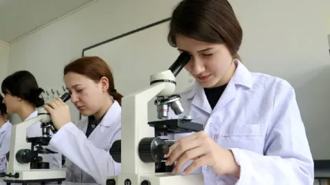 Türkiye'de ARGE harcamaları geçen yıl 980,4 milyar lirayı aştı