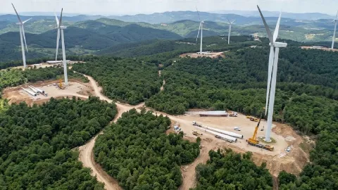 Türkiye'nin 25 milyon metrekare ormanına dev panelleri dizecekler