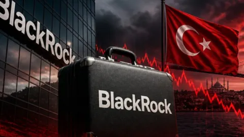 Türkiye'ye gelen dünyanın en büyük fonu 7 ay içinde geri döndü