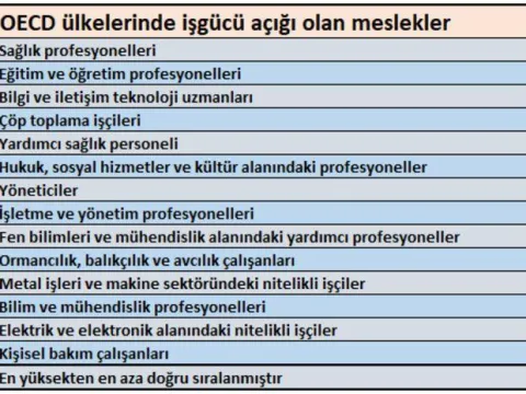 Dünyada ve Türkiye’de aranan meslekler - fotoğraf 2