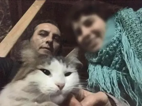 Kedileri beslemeyince acı gerçek ortaya çıktı - fotoğraf 1
