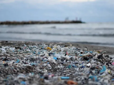 Avrupa'nın çöpünü toplayan Türkiye'de kanallar plastik doldu: Denizden balık çıkmıyor - fotoğraf 2