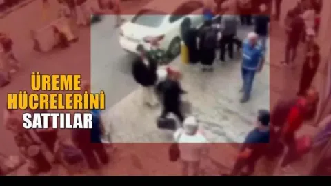 Üreme hücresi çetesine operasyon: Skandalı ortaya "ihanet" çıkardı