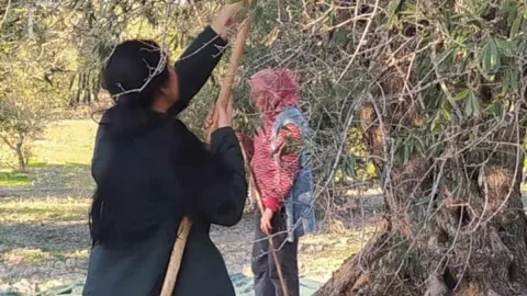 Üretici hasadı hemen durdurun çağrısı yaptı: Türkiye'nin üretim üssüydü
