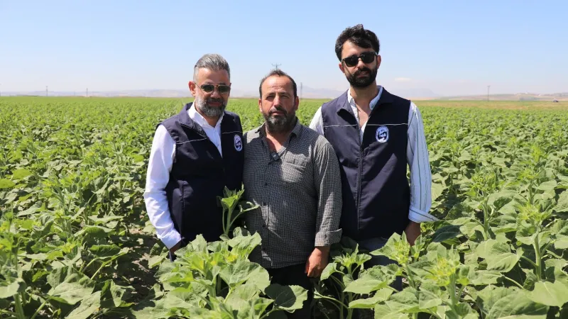 ÜRETİCİYE AYÇİÇEĞİ TOHUMU DESTEĞİ 