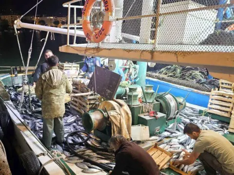 1 kiloluk palamut 40 liraya düştü - fotoğraf 2