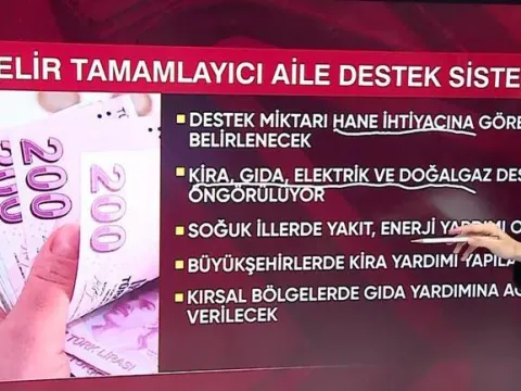 Vatandaşlık maaşında yeni detaylar - fotoğraf 1