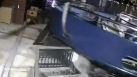 Üsküdar’da yolcu vapuru yalıya çarptı: Kaza anı kamerada