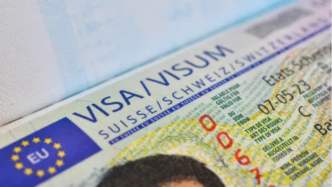 Vize şirketlerine 'bot' operasyonu