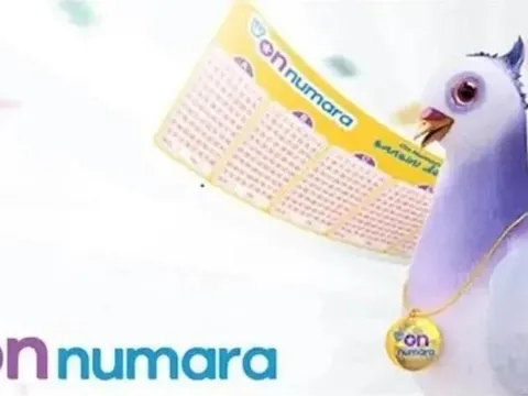 ON NUMARA SONUÇ SORGULAMA EKRANI 16 EKİM: On Numara sonuçları nereden ve nasıl sorgulanır? MPİ On Numara sonuçları öğrenme ekranı - fotoğraf 1