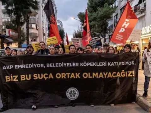 Ege Üniversitesi'ndeki köpeklerin toplatılmasında taraflar ne diyor? - fotoğraf 1