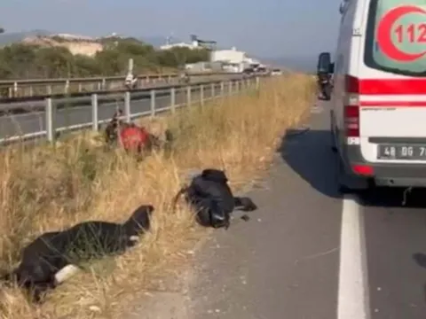 Rus fenomen Tatiana Ozolina davasında karar çıktı: Asli kusurlu sürücüye ödül gibi ceza! - fotoğraf 5
