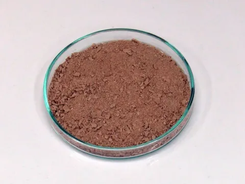 Veganlar için yeni alternatif: Fındıktan bitkisel protein tozu üretilecek - fotoğraf 4