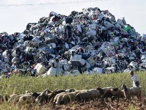 Avrupa'nın çöpünü toplayan Türkiye'de kanallar plastik doldu: Denizden balık çıkmıyor - fotoğraf 3