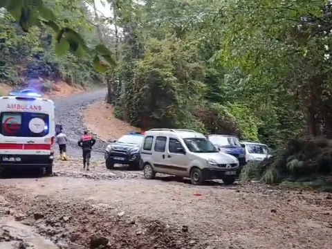 Kestane toplamak için ormana gitti, cansız bedeni bulundu - fotoğraf 3