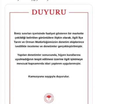 Zincir markette mide bulandıran görüntüler: Kasap reyonuna giren kedi tezgahtaki etleri yedi - fotoğraf 2