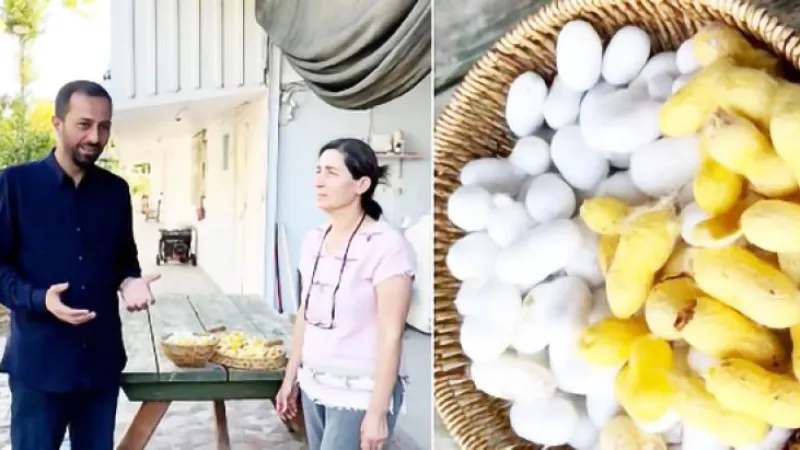 YALÇIN: HATAY SARISI İPEĞİ DESTEKLENMELİ