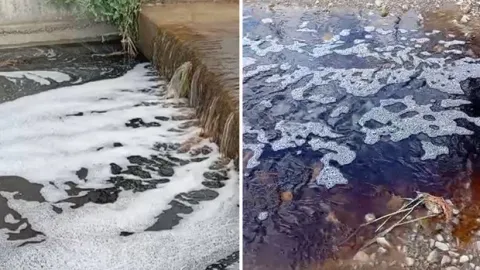 Yalova'da deniz yüzeyinde dikkat çeken görüntü