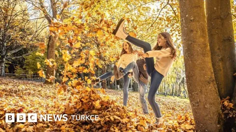 Yapraklar neden sonbaharda renk değiştirir?