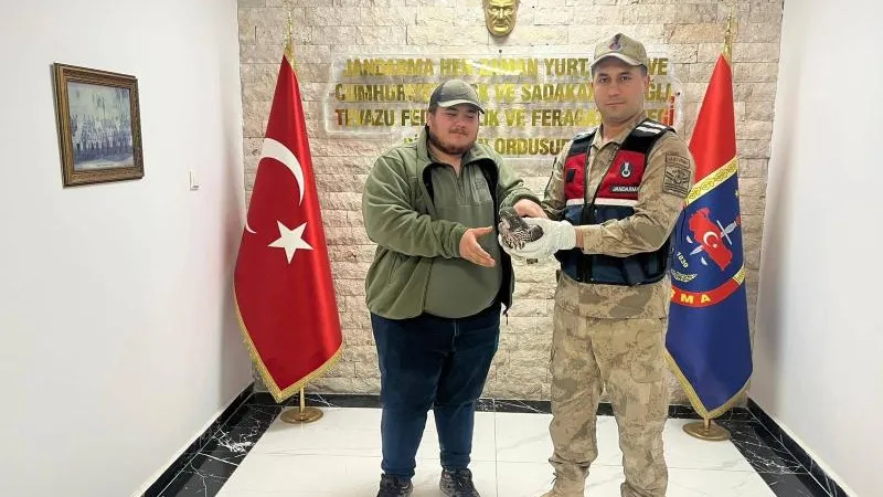 Yaralı Atmaca Tedavi Altına Alındı